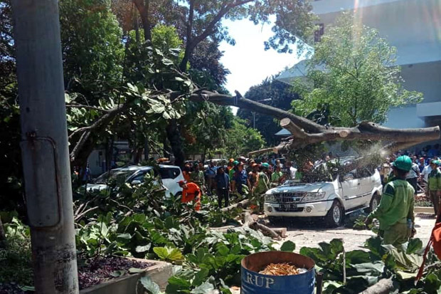 Korban Meninggal Tertimpa...