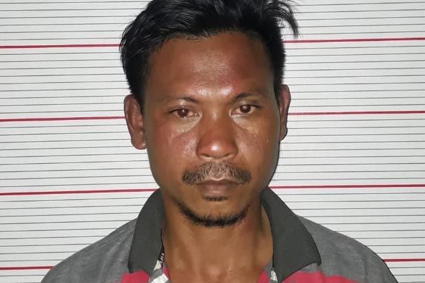 Pilu, Gadis Belia Dinodai...