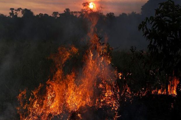 Kebakaran di Hutan Amazon...