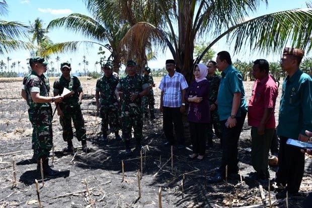 Bangun Satuan TNI AD,...