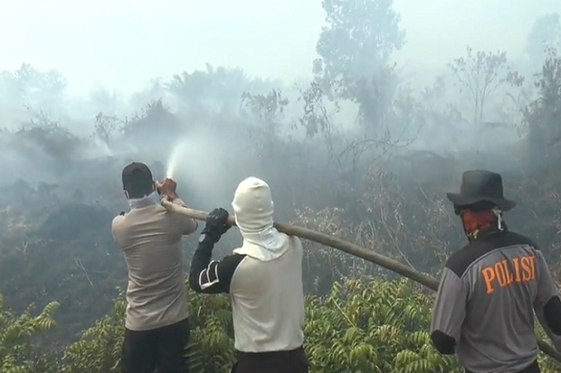 Tersangka Pembakar Hutan...