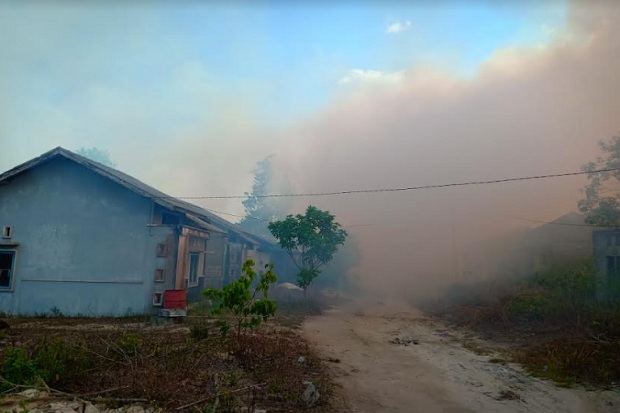 Kebakaran Lahan di Sekitar...
