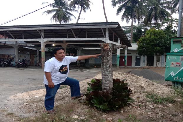 Misteri Penunggu Pohon...