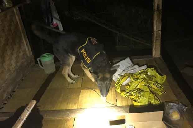 Polisi Kerahkan Anjing...