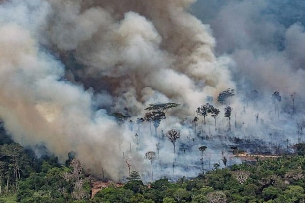 Padamkan Kebakaran Hutan...