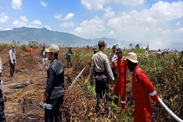 Lahan Seluas 150 Hektare...