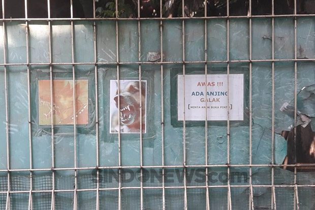 Damai Tak Pengaruhi...