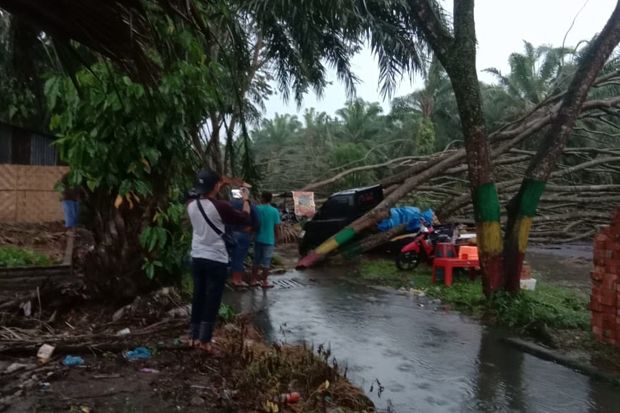 Angin Puting Beliung...