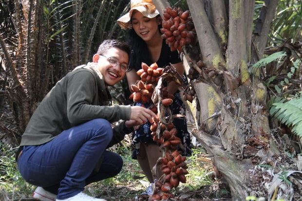 Panen Raya, Taman Buah...