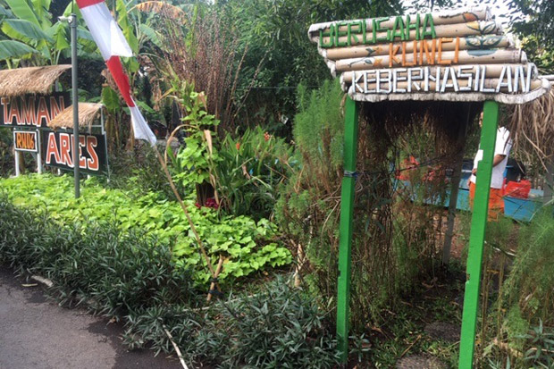Intip Kampung Tematik...