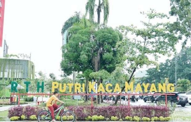 Wali Kota Pekanbaru...