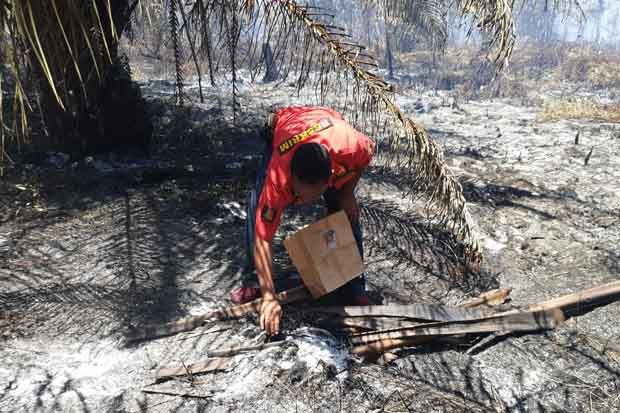 Bakar Lahan untuk Berladang,...