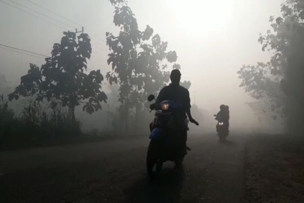 Dampak Karhutla, Kabut...