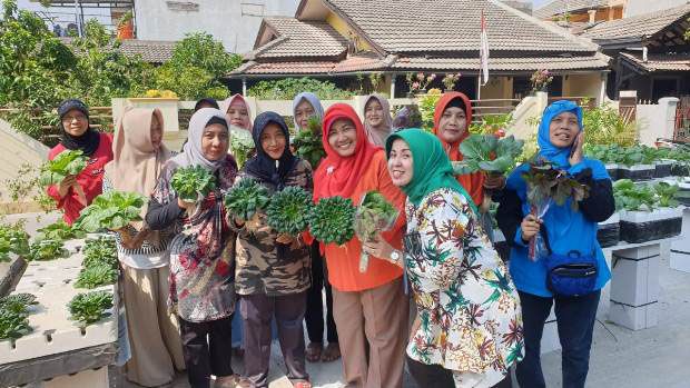 Bagaimana Bertanam Tanpa...