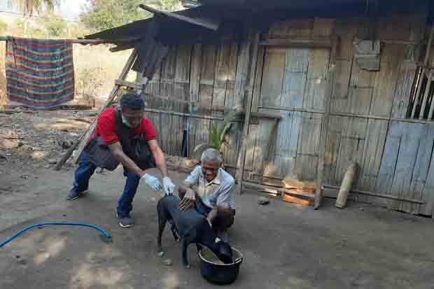 Bali Dituding Tak Becus...