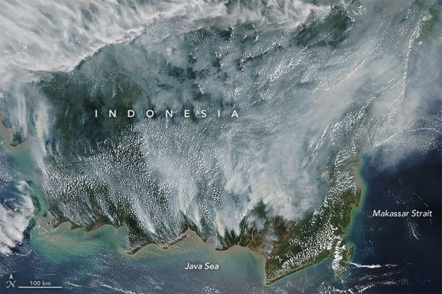 Potret Kebakaran Hutan...