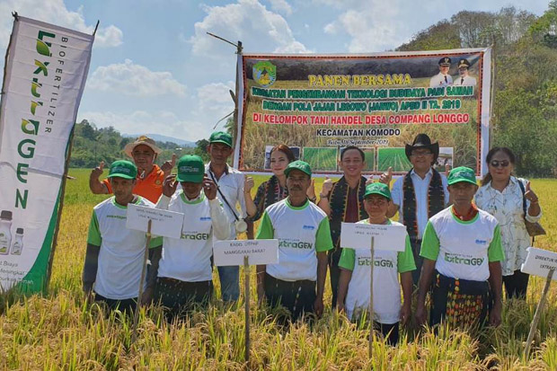 Petani Labuan Bajo Sukses...