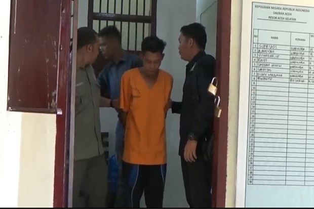 Setubuhi Anak di Bawah...