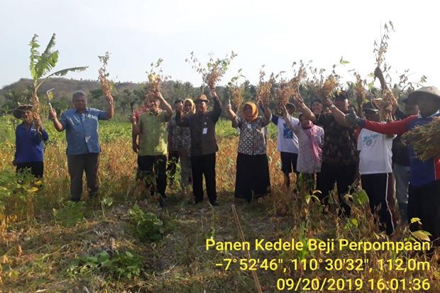Kemarau Panjang, Lahan...