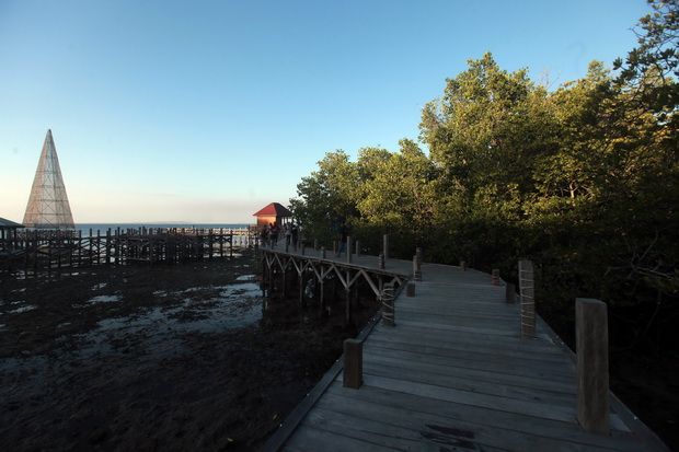 Eksotisnya Wisata Hutan...
