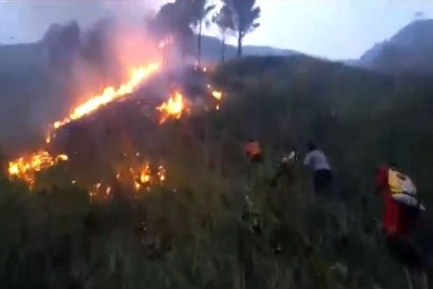 Hutan di Tepi Danau...