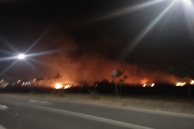 20 Hektare Areal Terbakar,...