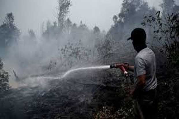 KLHK Segel 62 Lahan...