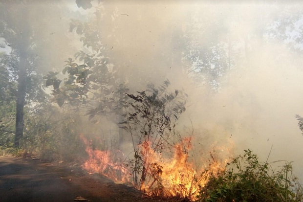 2 Hari Terbakar, Kobaran...