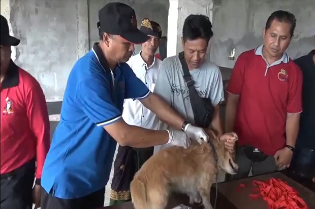 105 Desa di Bali Positif...