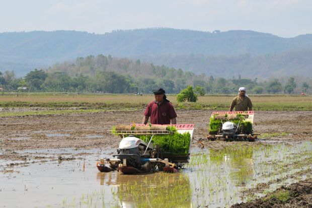 Alsintan Rice Transplanter...