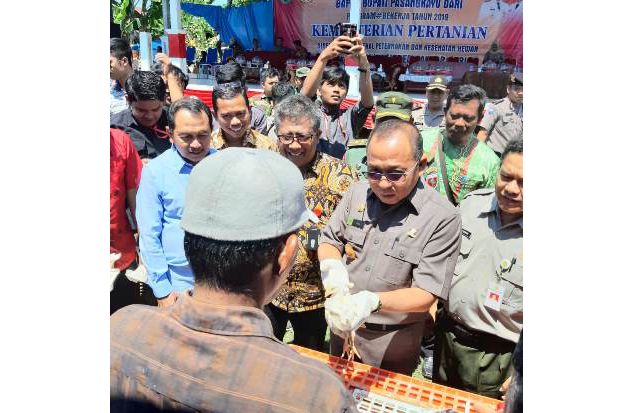 Bupati Pasangkayu Agus...