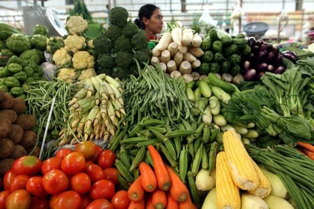 Dibuka untuk Umum, Fresh...