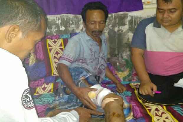 Serang Balik Buaya yang...
