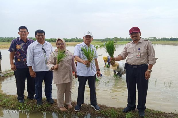 Tambah LTT di Sumut,...