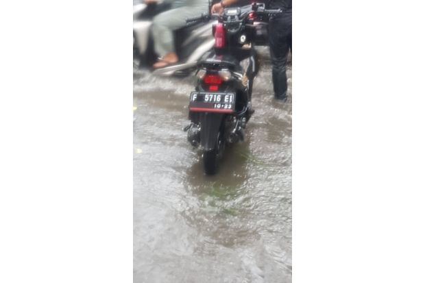 Hindari Pohon Tumbang,...