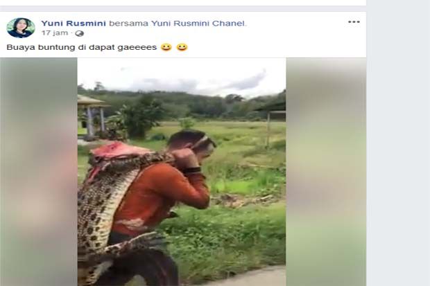 Viral, Pria Berjalan...