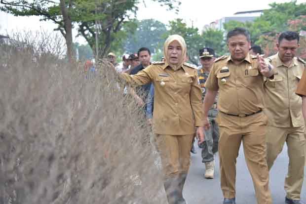 Kemarau Panjang, 120...