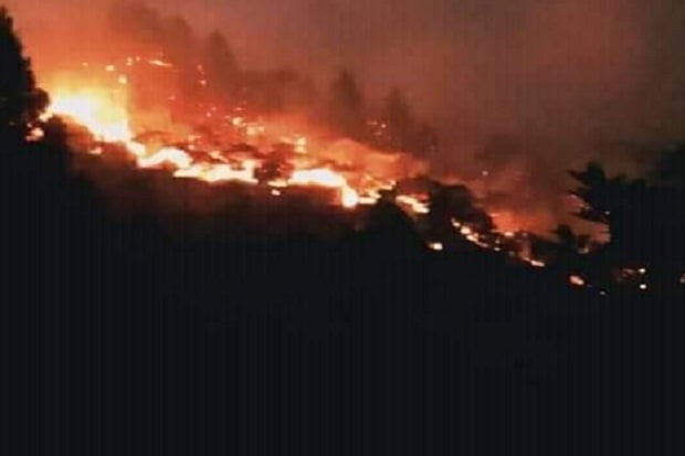 Lereng Gunung Bawakaraeng...