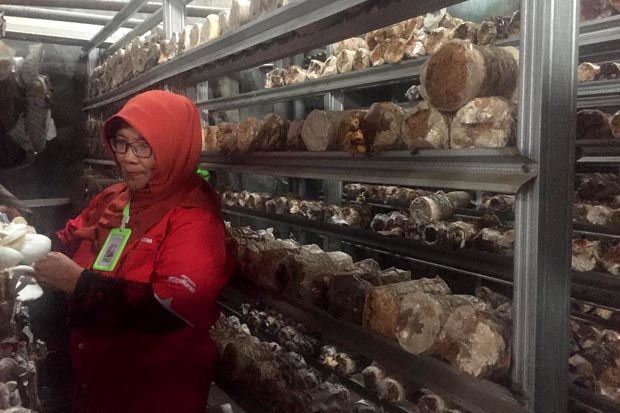 Pertamina Berdayakan...