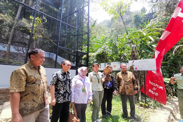 Hino dan Taman Safari...