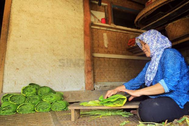 Produk Tembakau Dipanaskan...