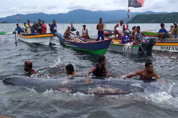 5 Kali Dievakuasi ke...