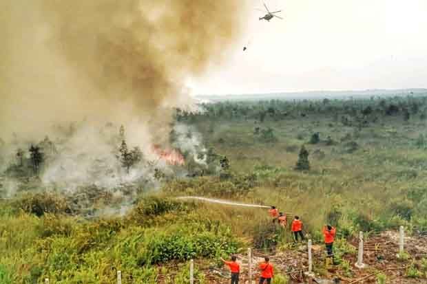 255.904 Hektare Lahan...