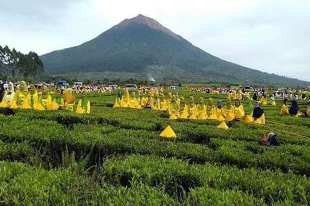 Pecah Rekor Muri, 3805...