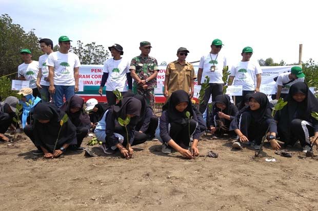 Pertamina Tanam 5.000...