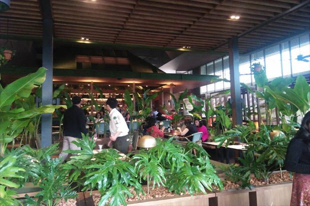 Social Garden Tawarkan...