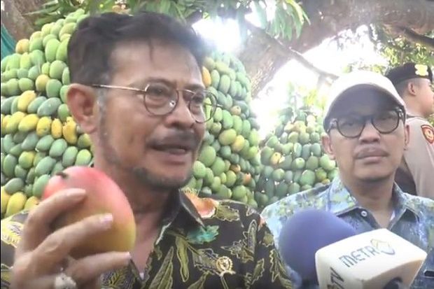 Mudah Dikupas Pakai...