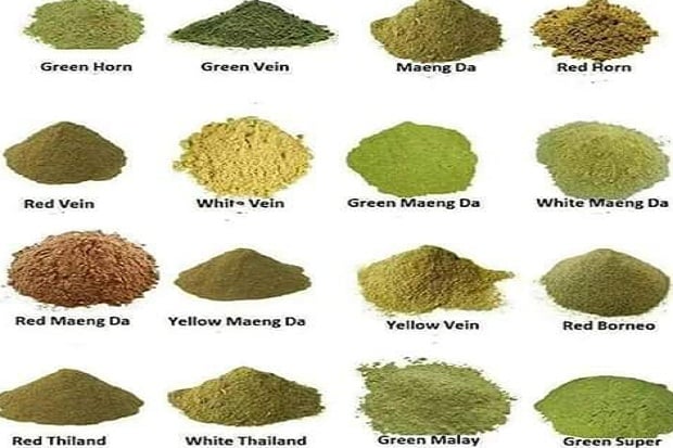 BNN Masukkan Kratom...