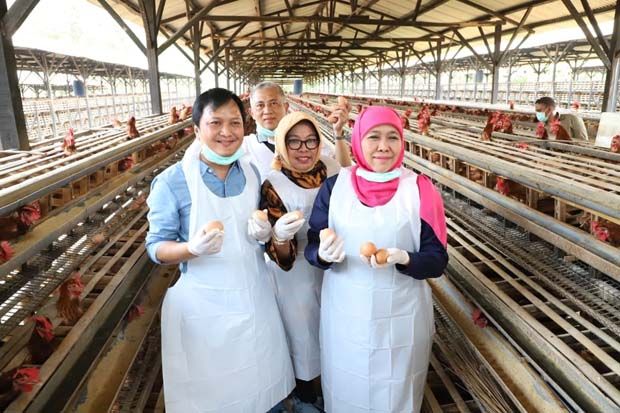 Khofifah Pastikan Telur...