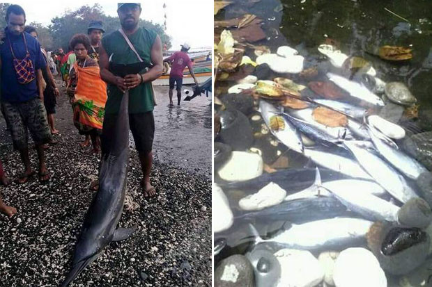 Pencemaran Laut di Madang...
